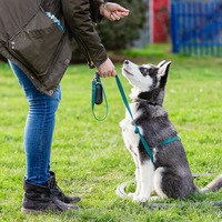 A lady leash training her Husky at a dog training course. Leash training, concept.