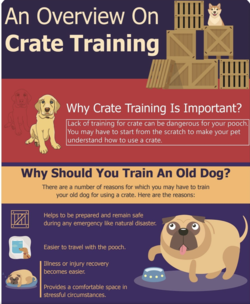 Infographic poster illustrating why crate training is essential for your dog. A set of icons including dog crates, a dog bowl, and a dog bed.