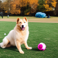 A dog looks up and is ready to play ball with its owner in a park.