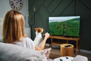 A woman relaxes at home, watching TV and switching channels with her dog on her lap. The concept is that dogs can watch TV.